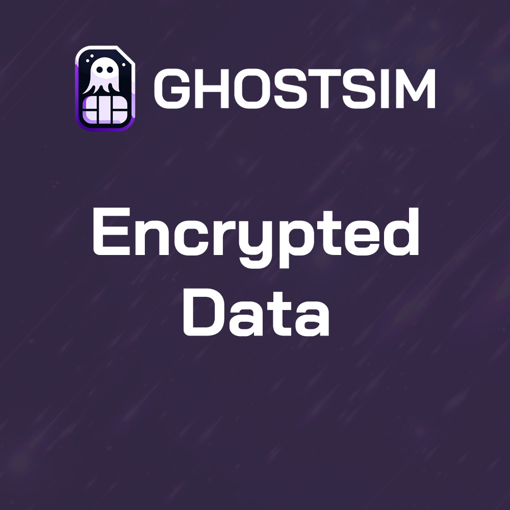 encrypted data sim card